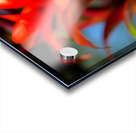 Vibrant Botanicals Acrylic print