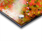 Joyful Geraniums Acrylic print