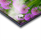 Serendipity Landscape Acrylic print