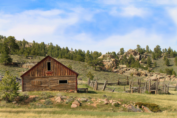 Forgotten Cabin Print