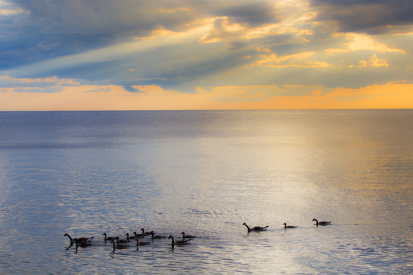 Sunset Journeys Print