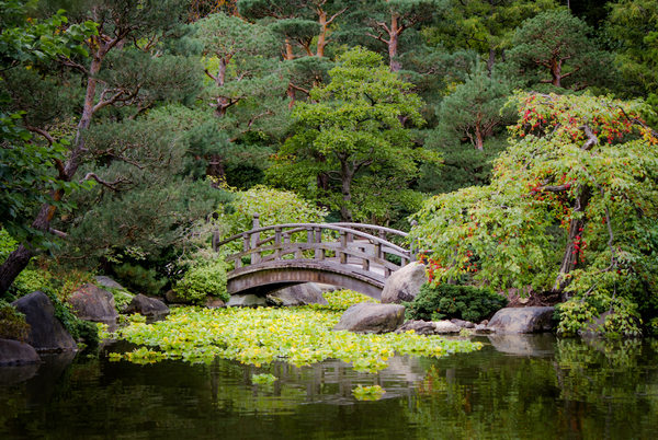 Peaceful Crossings Print