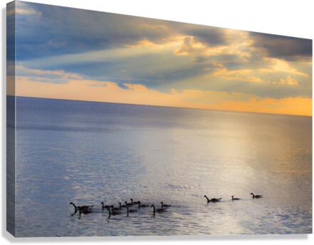 Sunset Journeys Canvas Print