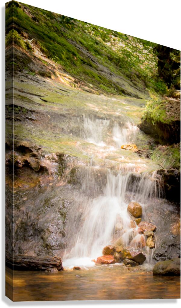 Parfrey s Glen Waterfall Canvas Print