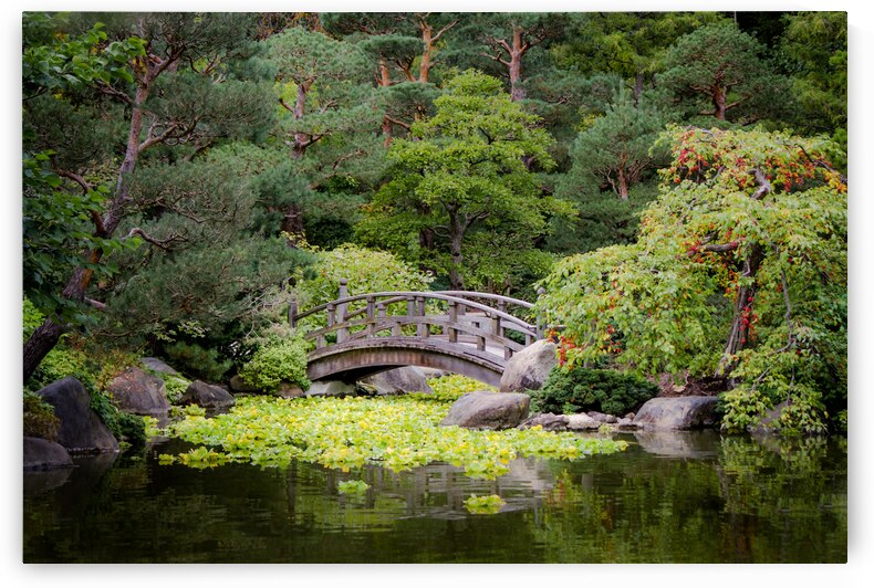 Peaceful Crossings by Kinseys Captures