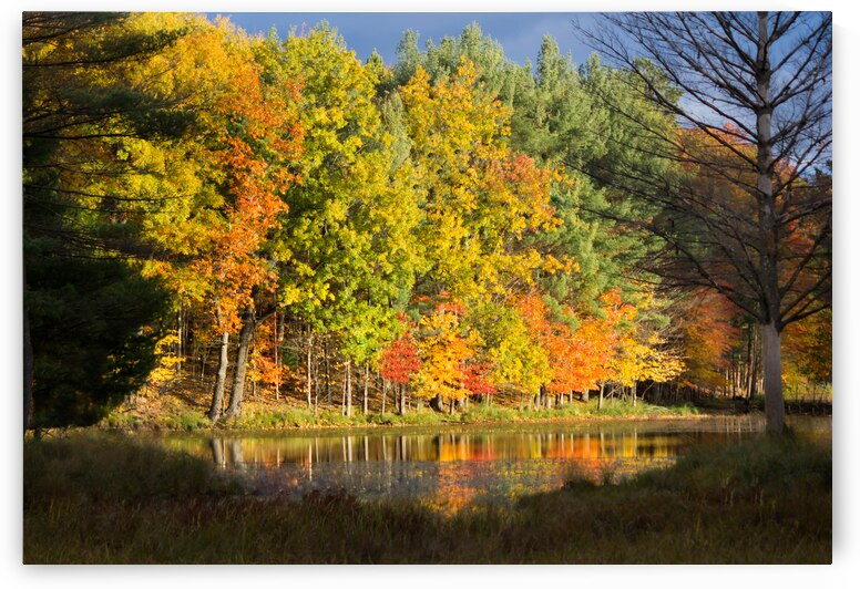 Fall in North Woods by Kinseys Captures