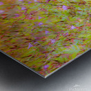 Sunset Meadow Metal print