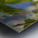 Soaring Blossoms Metal print