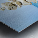 Tranquility  Metal print