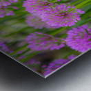 Serendipity Landscape Metal print