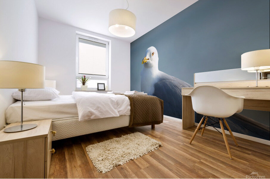 Seagull Sighting Mural print