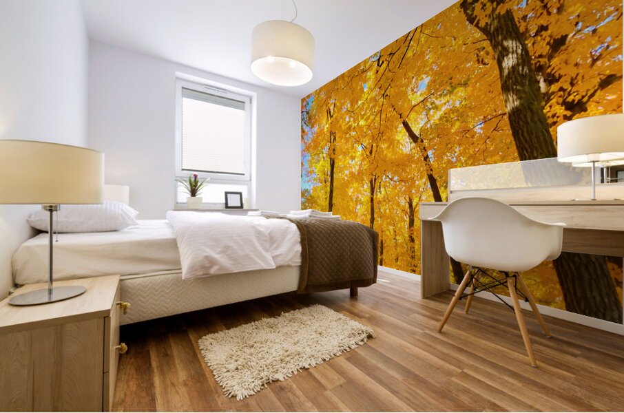 Fall Foliage Mural print