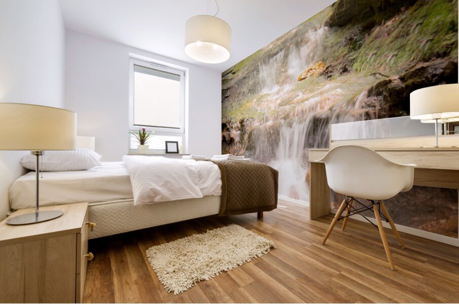 Parfrey s Glen Waterfall Mural print