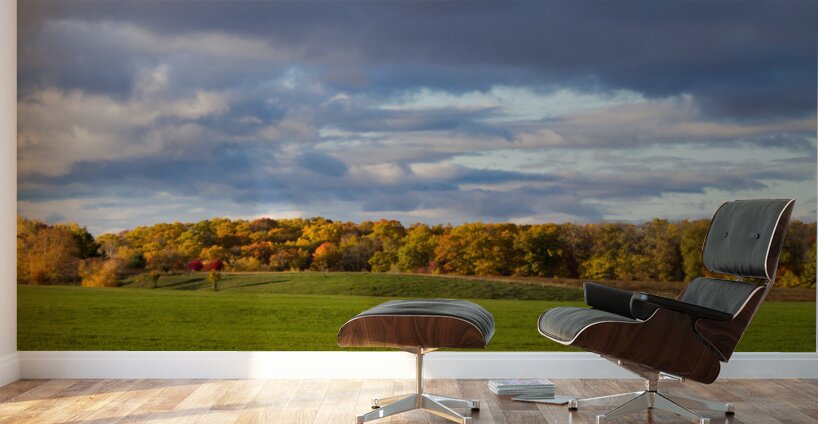 Fall on the Horizon Wall Murals