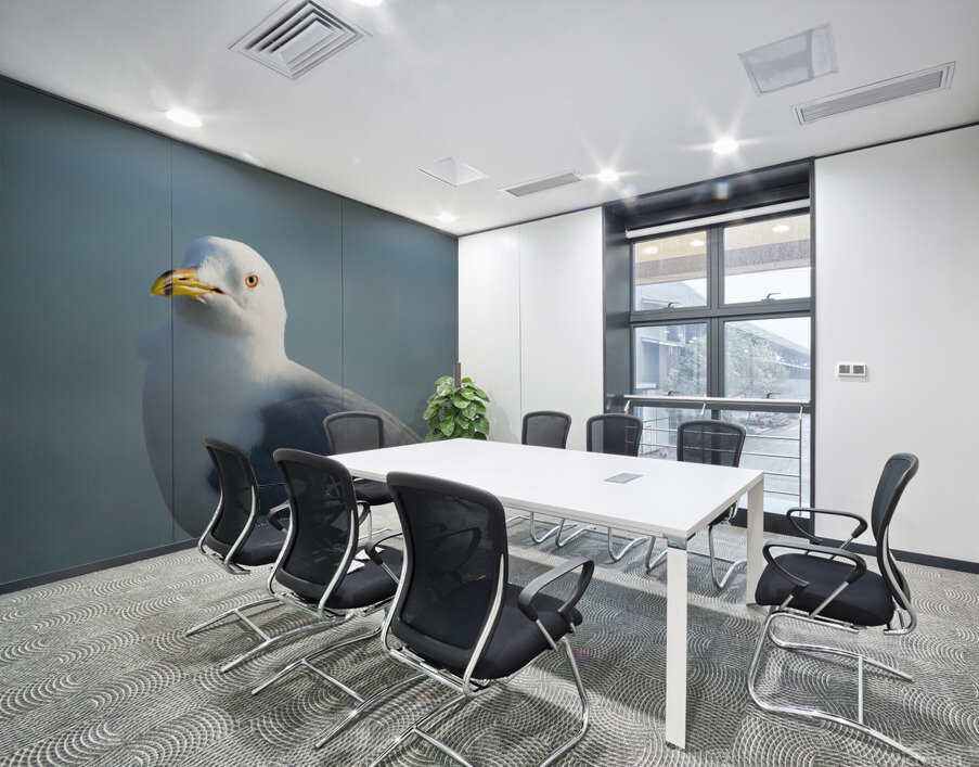 Seagull Sighting Wall Printing