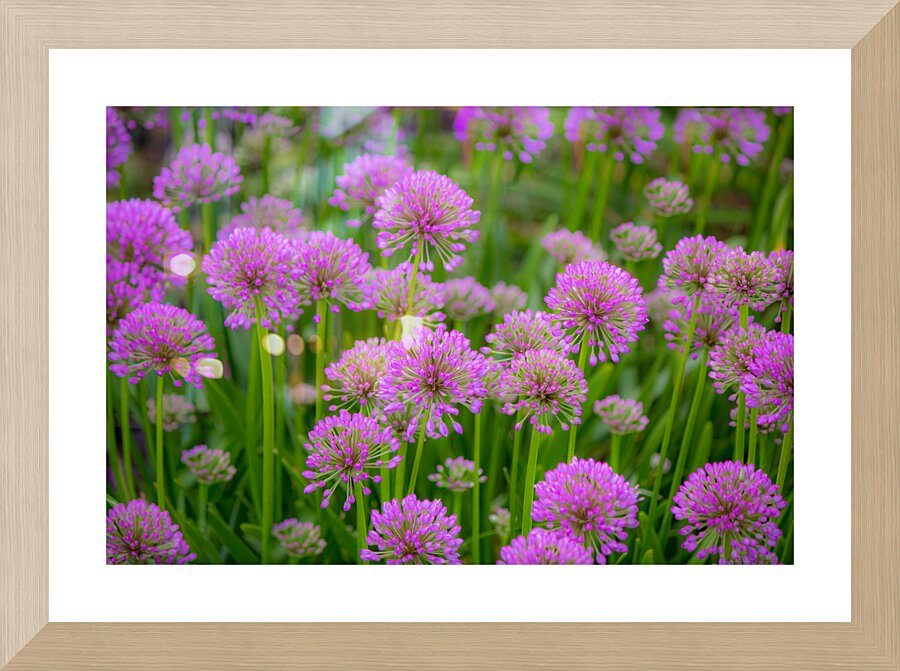 Serendipity Landscape Picture Frame print