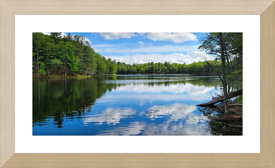 Canoe Bay Picture Frame print