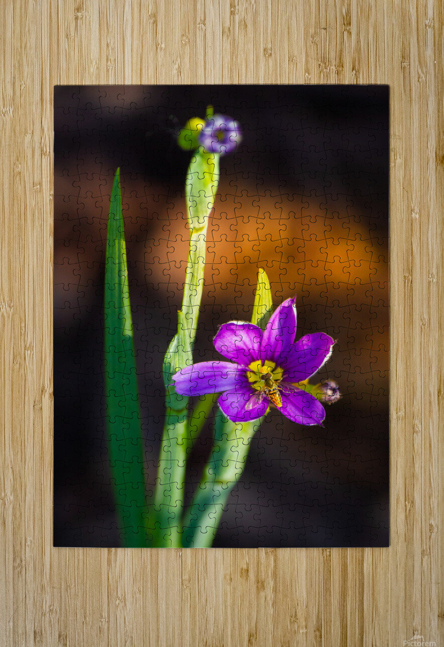 Blooms Friend Kinseys Captures Puzzle printing