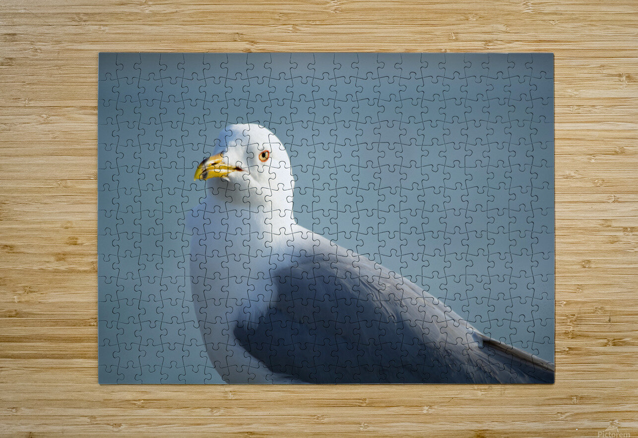 Seagull Sighting Kinseys Captures Puzzle printing