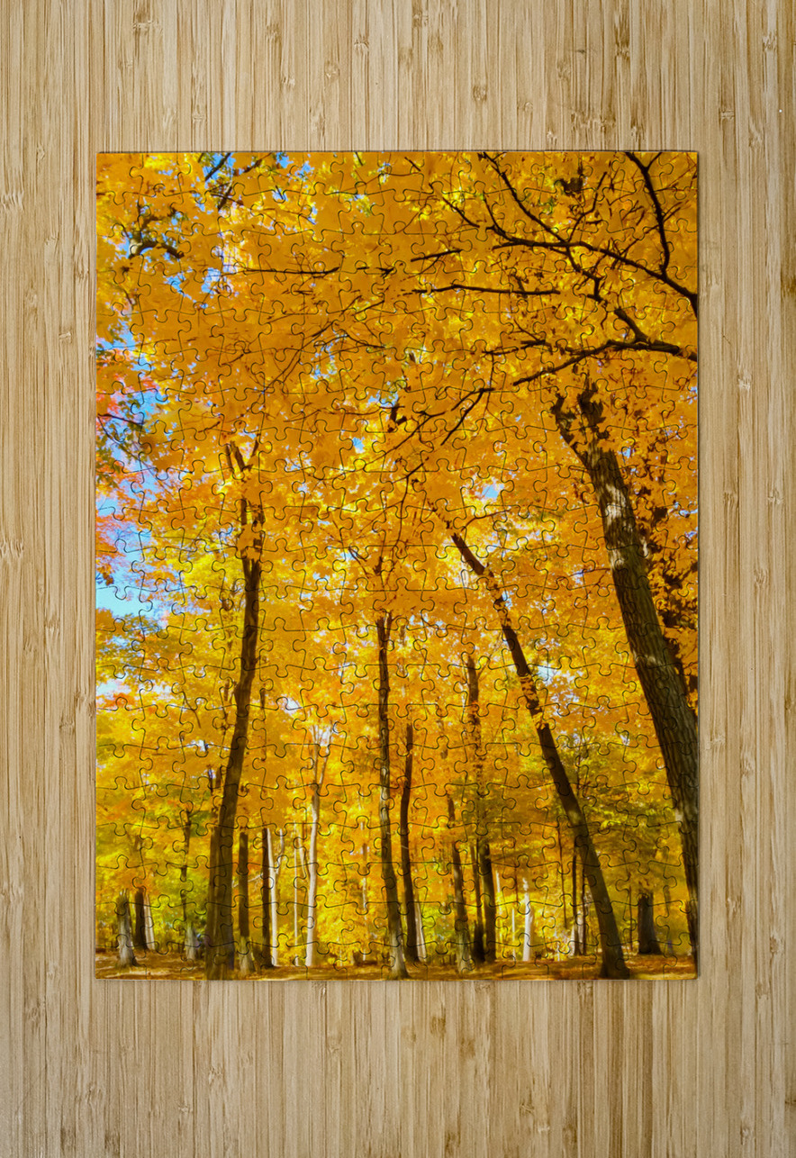 Fall Foliage Kinseys Captures Puzzle printing