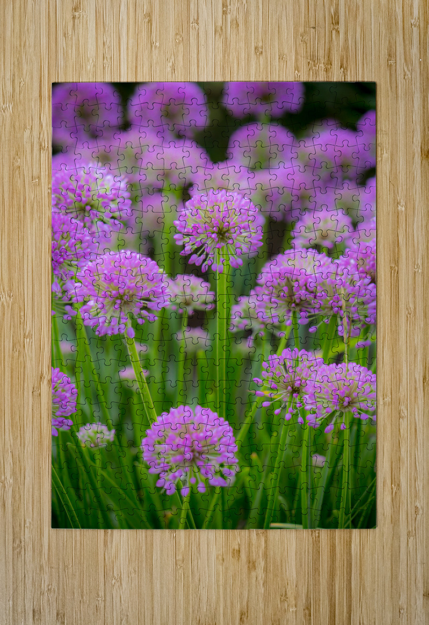 Serendipity Kinseys Captures Puzzle printing