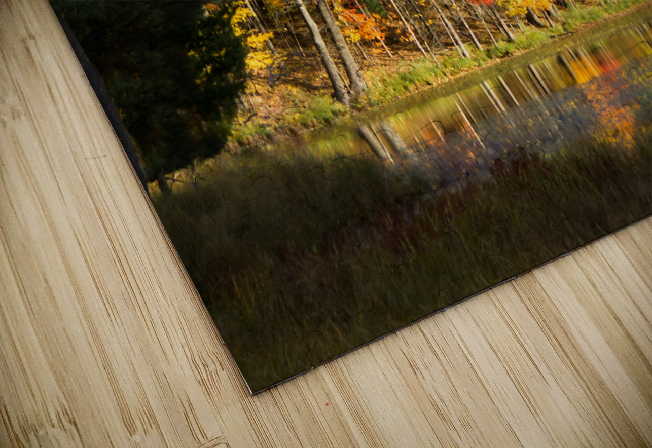 Fall in North Woods Kinseys Captures Puzzle