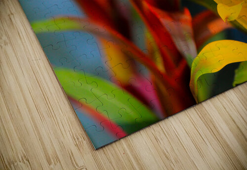 Vibrant Botanicals Kinseys Captures puzzle