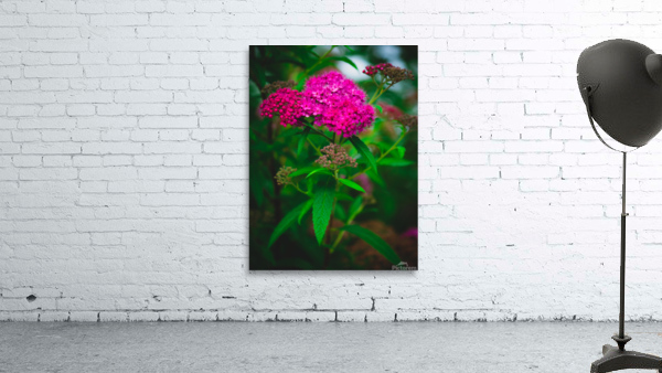 Mystical Meadowsweet Wall Preview