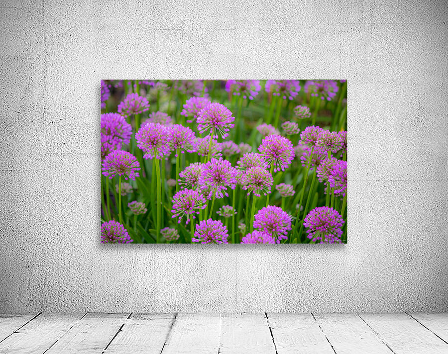 Serendipity Landscape Wall Preview