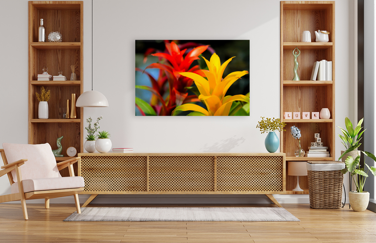 Vibrant Botanicals Reproduction