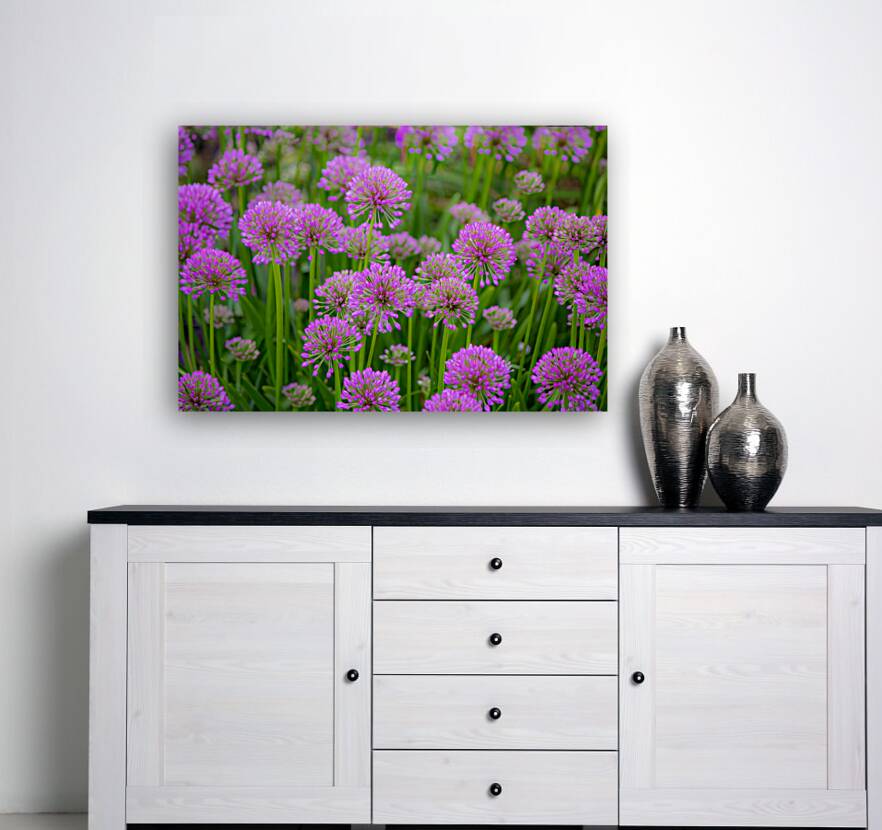 Serendipity Landscape Reproduction