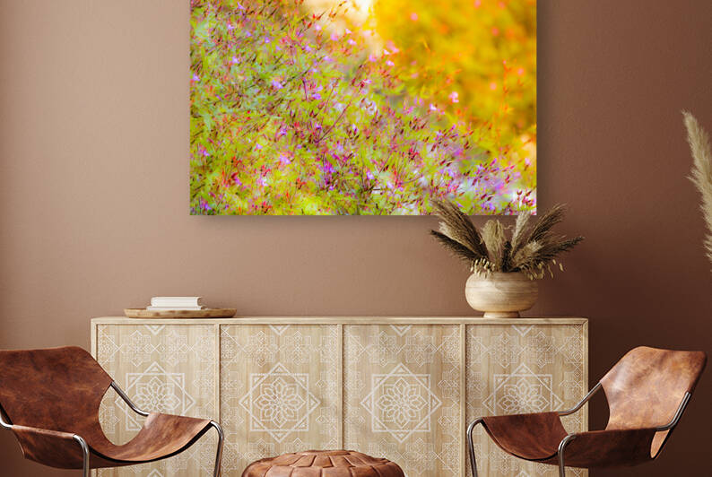Sunset Meadow by Kinseys Captures