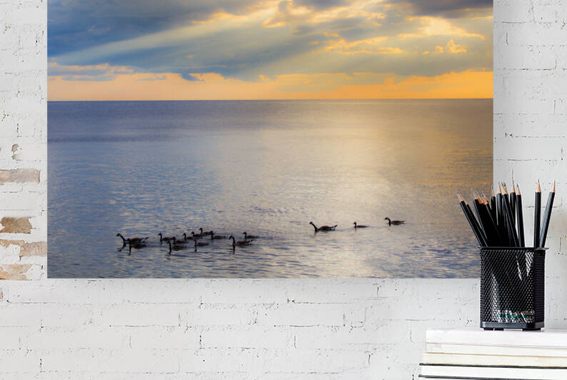 Sunset Journeys by Kinseys Captures