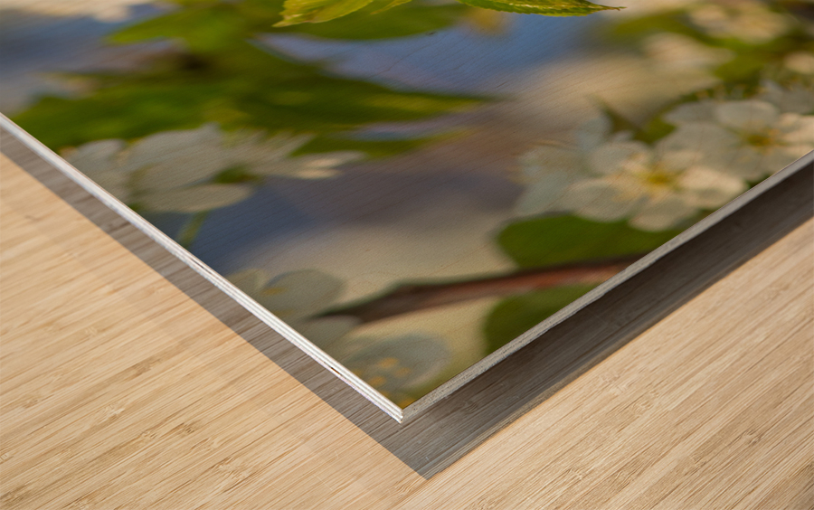 Soaring Blossoms Wood print