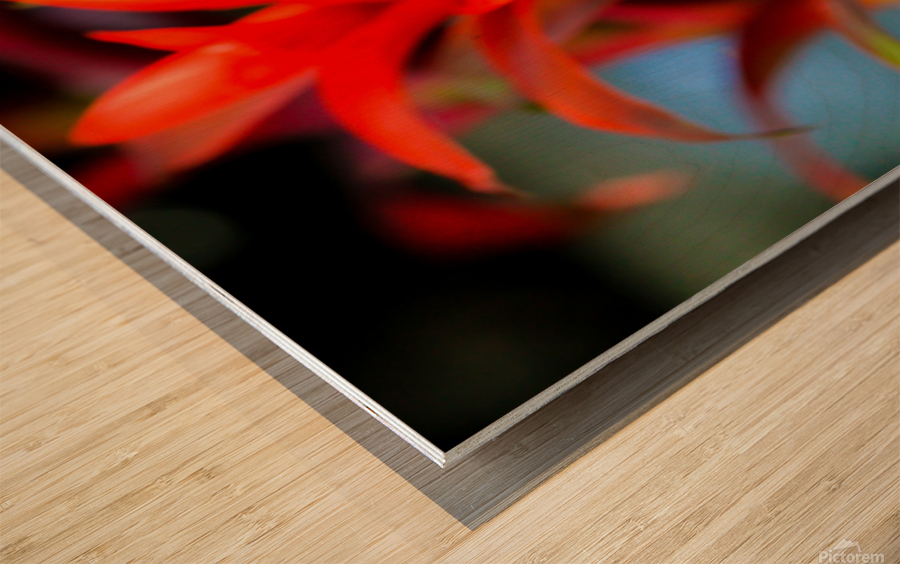 Vibrant Botanicals Wood print