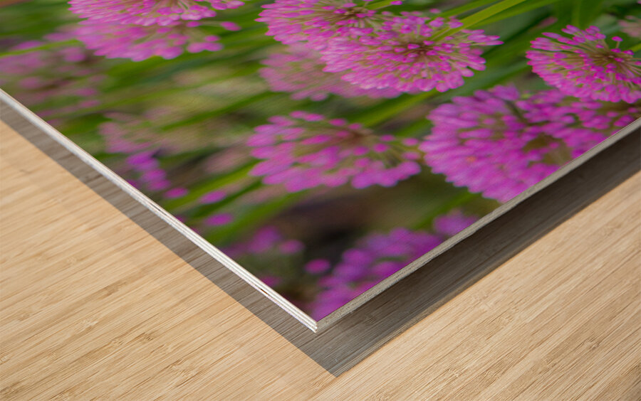 Serendipity Landscape Wood print