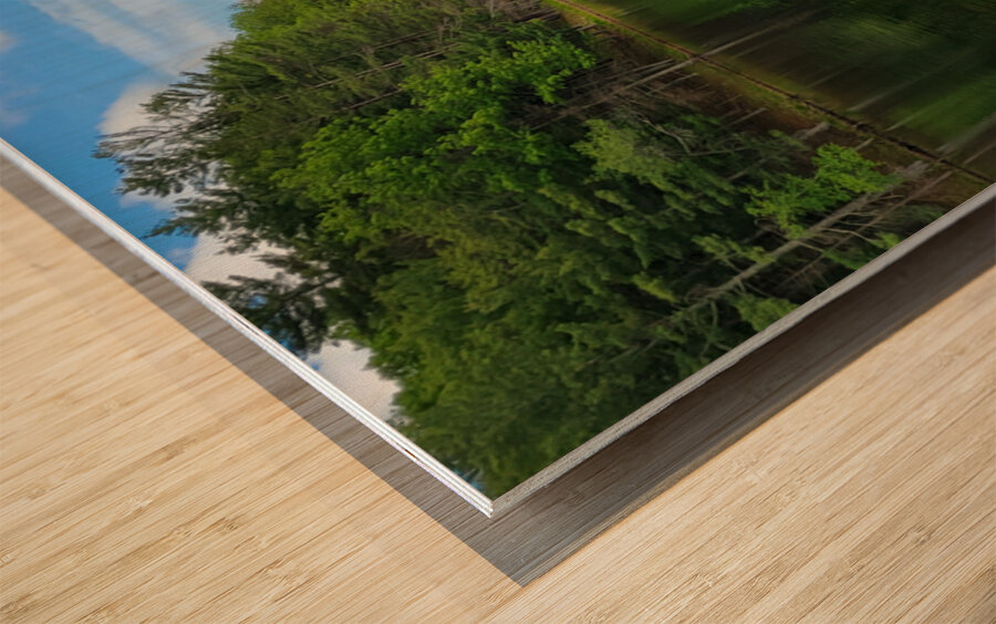 Canoe Bay Wood print